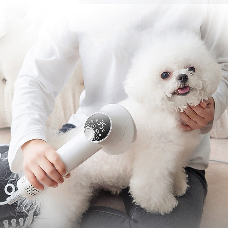 Smart Pet Hair Dryer – Silent 2-in-1 Blow & Comb Grooming Tool for Dogs & Cats